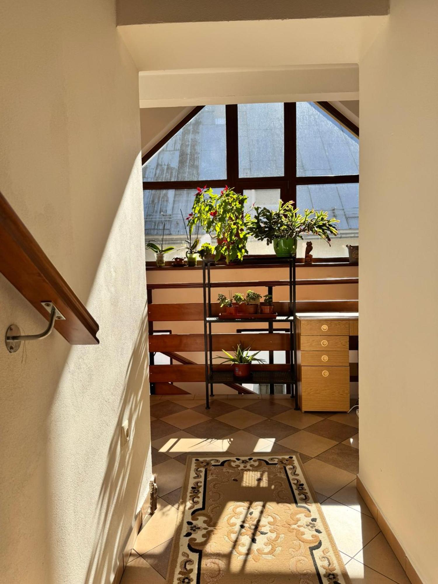 Apartmany Kenka Spisska Stara Ves Εξωτερικό φωτογραφία